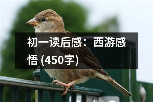 初一讀后感：西游感悟 (450字)