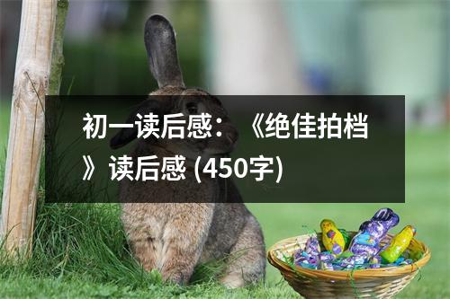 初一讀后感：《絕佳拍檔》讀后感 (450字)