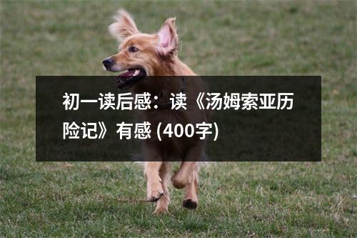 初一讀后感：讀《湯姆索亞歷險記》有感 (400字)
