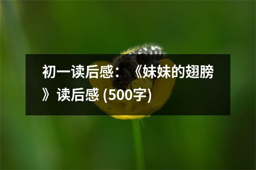初一讀后感：《妹妹的翅膀》讀后感 (500字)