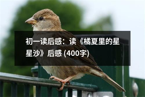 初一讀后感：讀《橘夏里的星星沙》后感 (400字)