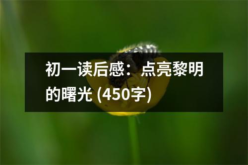 初一讀后感：點亮黎明的曙光 (450字)