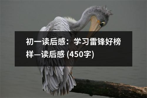 初一讀后感：學(xué)習(xí)雷鋒好榜樣—讀后感 (450字)