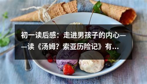 初一讀后感：走進(jìn)男孩子的內(nèi)心——讀《湯姆？索亞歷險(xiǎn)記》有感 (500字)