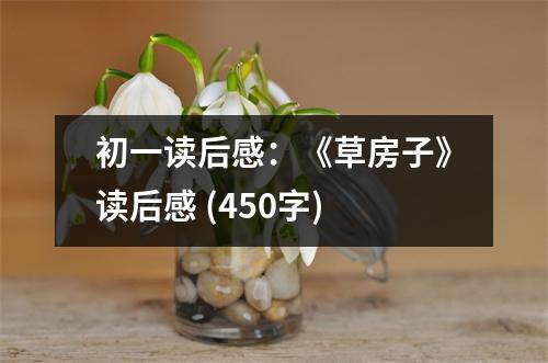 初一讀后感：《草房子》讀后感 (450字)