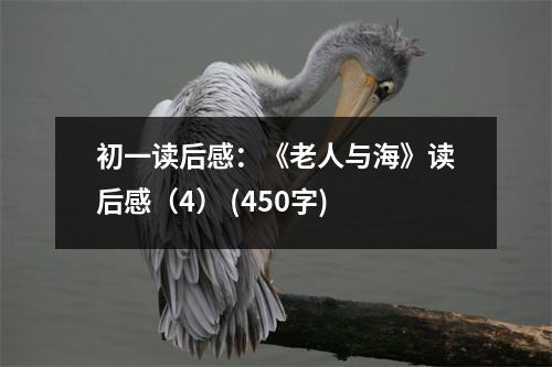 初一讀后感：《老人與?！纷x后感（4） (450字)