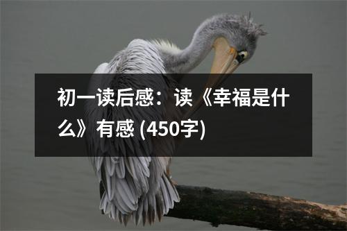 初一讀后感：讀《幸福是什么》有感 (450字)