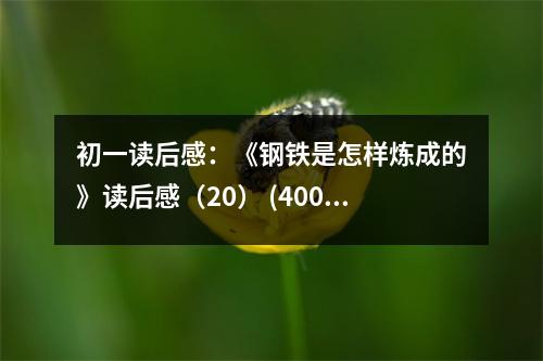 初一讀后感：《鋼鐵是怎樣煉成的》讀后感（20） (400字)