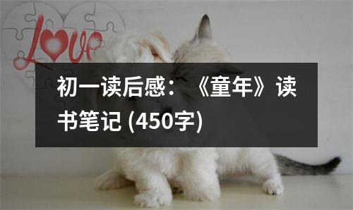 初一讀后感：《童年》讀書筆記 (450字)