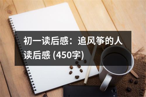 初一讀后感：追風(fēng)箏的人讀后感 (450字)