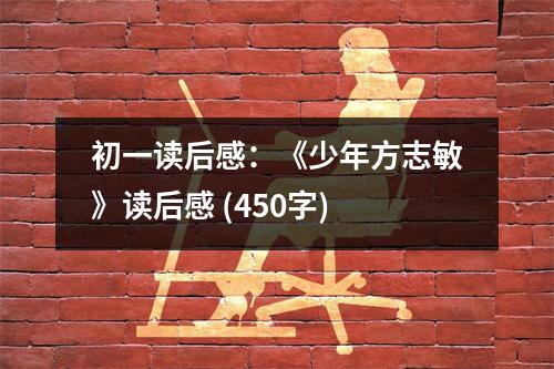 初一讀后感：《少年方志敏》讀后感 (450字)
