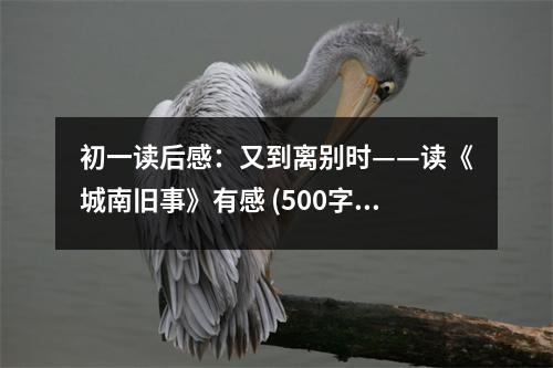 初一讀后感：又到離別時(shí)——讀《城南舊事》有感 (500字)