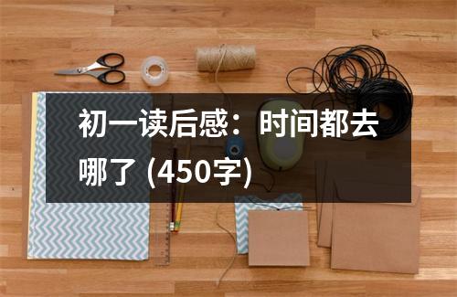 初一讀后感：時(shí)間都去哪了 (450字)