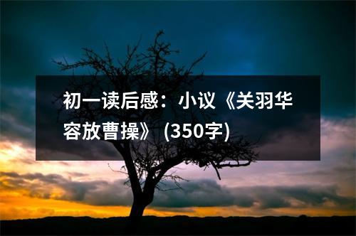初一讀后感：小議《關(guān)羽華容放曹操》 (350字)