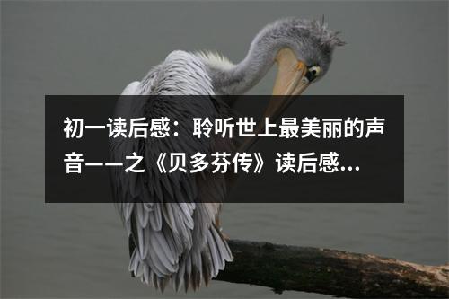 初一讀后感：聆聽世上最美麗的聲音——之《貝多芬傳》讀后感 (450字)