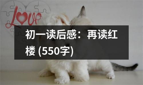 初一讀后感：再讀紅樓 (550字)
