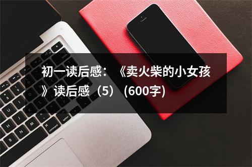 初一讀后感：《賣火柴的小女孩》讀后感（5） (600字)