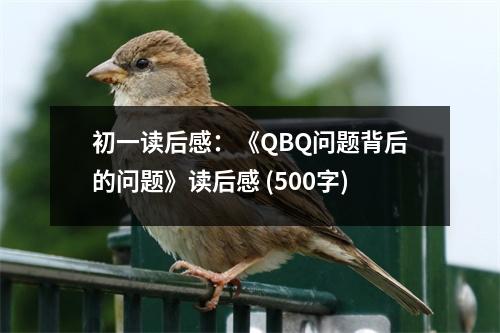 初一讀后感：《QBQ問題背后的問題》讀后感 (500字)