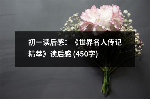 初一讀后感：《世界名人傳記精萃》讀后感 (450字)
