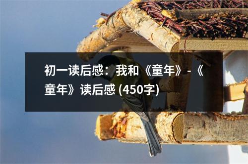 初一讀后感：我和《童年》-《童年》讀后感 (450字)