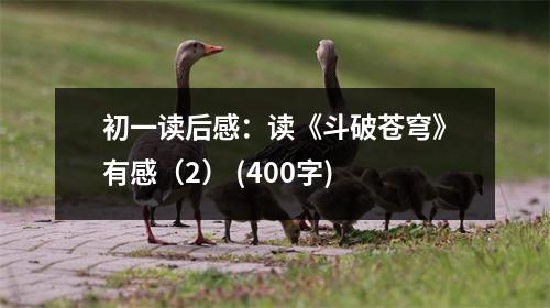 初一讀后感：讀《斗破蒼穹》有感（2） (400字)