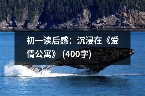 初一讀后感：沉浸在《愛情公寓》 (400字)