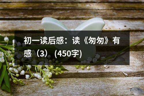 初一讀后感：讀《匆匆》有感（3） (450字)