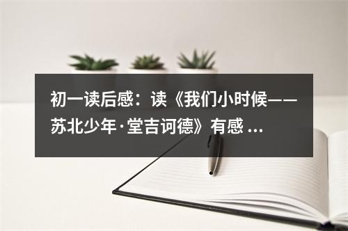 初一讀后感：讀《我們小時候——蘇北少年·堂吉訶德》有感 (500字)