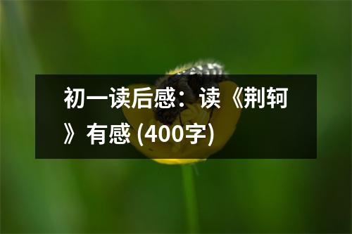 初一讀后感：讀《荊軻》有感 (400字)