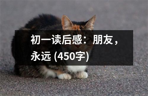 初一讀后感：朋友，永遠 (450字)