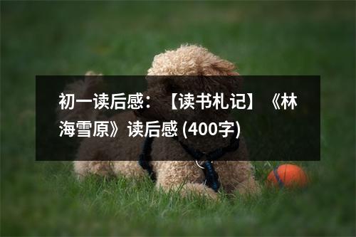初一讀后感：【讀書札記】《林海雪原》讀后感 (400字)