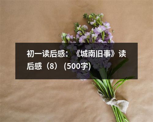 初一讀后感：《城南舊事》讀后感（8） (500字)