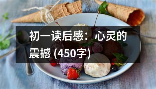 初一讀后感：心靈的震撼 (450字)