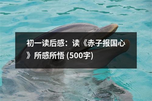初一讀后感：讀《赤子報國心》所感所悟 (500字)