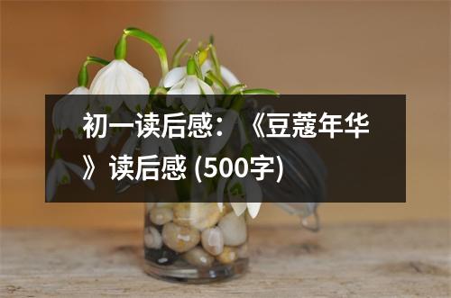 初一讀后感：《豆蔻年華》讀后感 (500字)