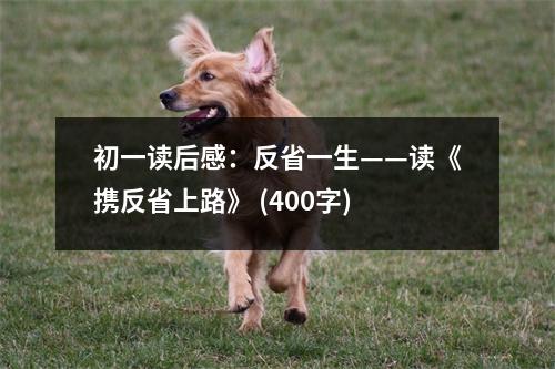 初一讀后感：反省一生——讀《攜反省上路》 (400字)