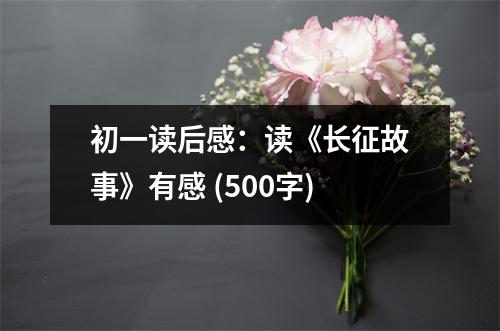 初一讀后感：讀《長征故事》有感 (500字)
