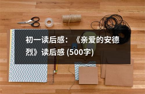 初一讀后感：《親愛的安德烈》讀后感 (500字)
