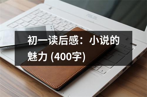 初一讀后感：小說的魅力 (400字)
