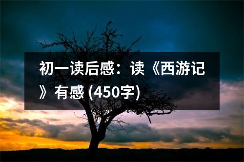 初一讀后感：讀《西游記》有感 (450字)