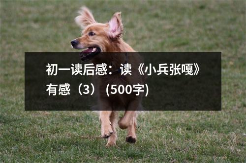 初一讀后感：讀《小兵張嘎》有感（3） (500字)