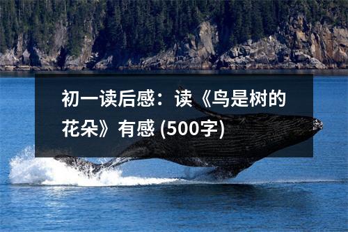 初一讀后感：讀《鳥(niǎo)是樹(shù)的花朵》有感 (500字)