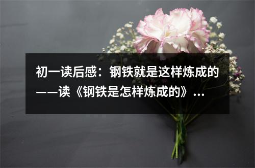 初一讀后感：鋼鐵就是這樣煉成的——讀《鋼鐵是怎樣煉成的》有感（2） (450字)