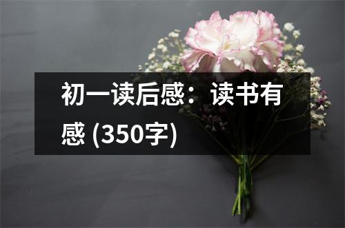 初一讀后感：讀書(shū)有感 (350字)