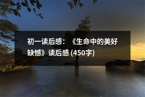 初一讀后感：《生命中的美好缺憾》讀后感 (450字)