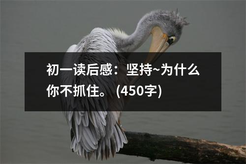 初一讀后感：堅持~為什么你不抓住。 (450字)