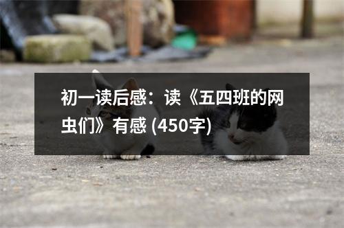 初一讀后感：讀《五四班的網(wǎng)蟲們》有感 (450字)
