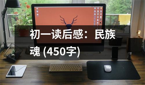 初一讀后感：民族魂 (450字)