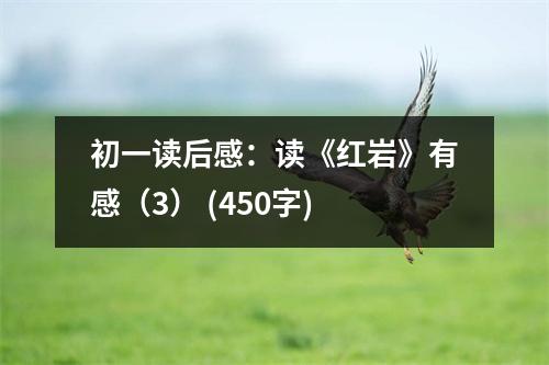 初一讀后感：讀《紅巖》有感（3） (450字)