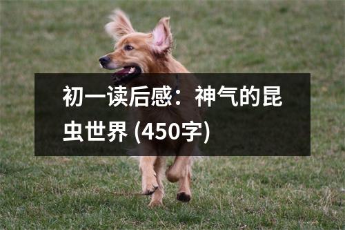 初一讀后感：神氣的昆蟲世界 (450字)